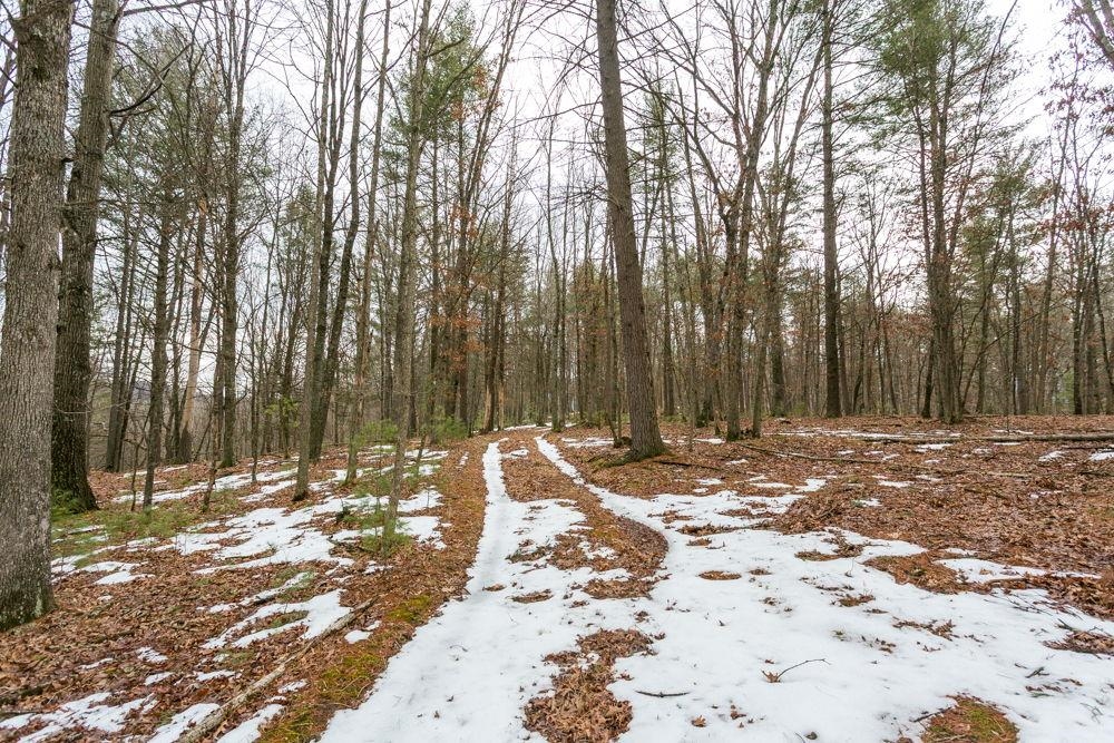 Lot 44 Rainbow Ridge Road Criders, VA 22820 - Photo 3 of 6