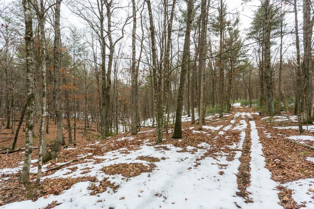 Lot 44 Rainbow Ridge Road Criders, VA 22820 - Photo 4 of 6