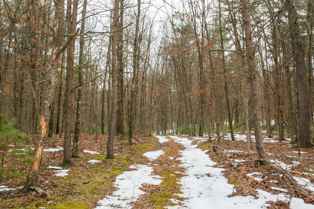 Lot 44 Rainbow Ridge Road Criders, VA 22820 - Photo 5 of 6