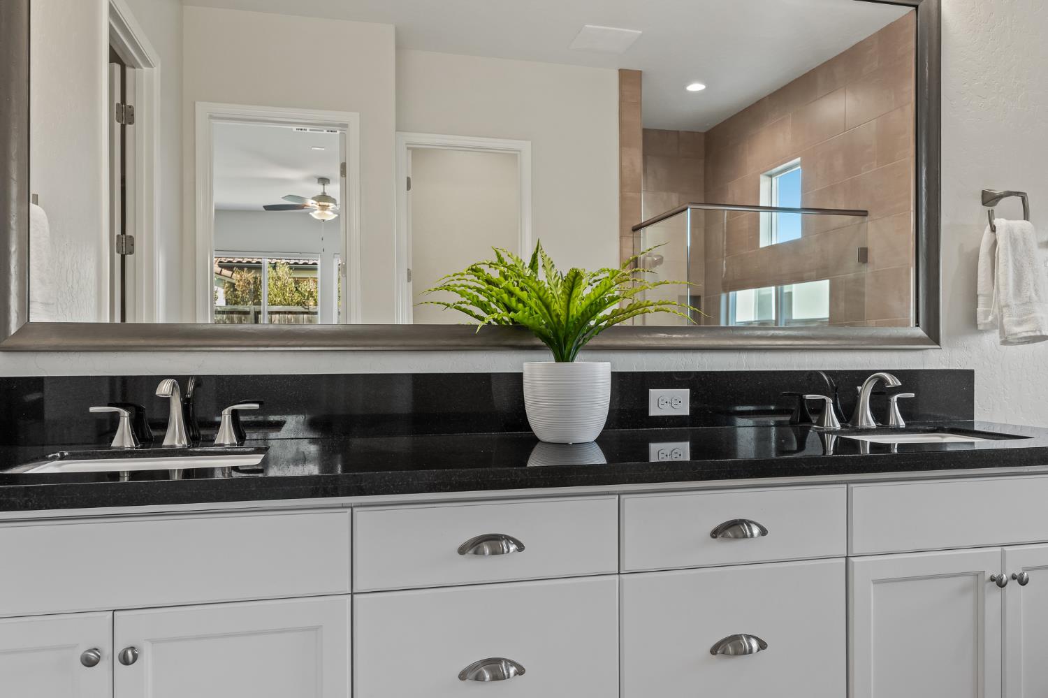 998 Highland Road West Madera, CA 93636 - Photo 56 of 61 a closeup of a sink with a potted plant on a counter and cabinets