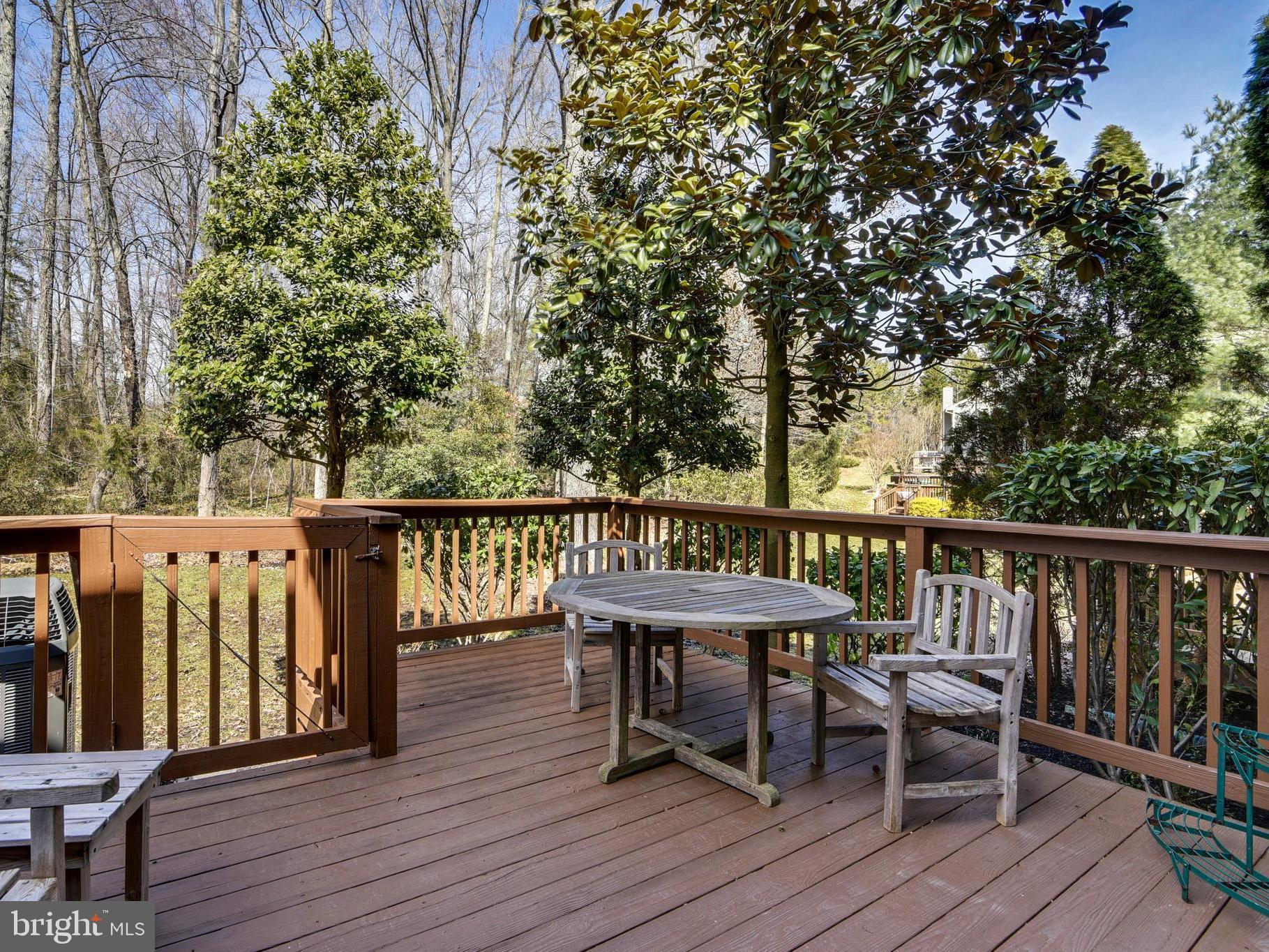 105 Spring Pl Way Annapolis, MD 21401 - Photo 3 of 35 Back deck overlooks open space & wooded buffer