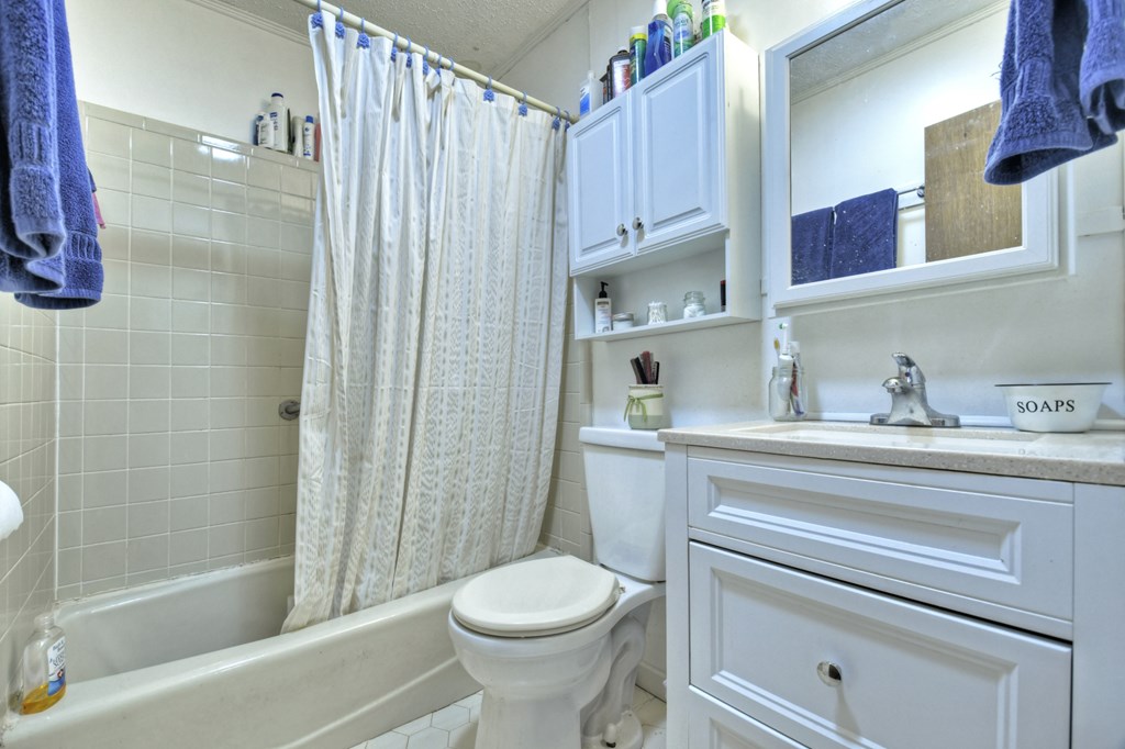 2800 Mobile Road Copperhill, TN 37317 - Photo 4 of 26 a bathroom with a sink a toilet and shower