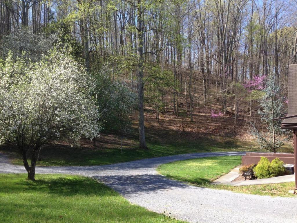 226 Cripple Creek Road Watauga, TN 37694 - Photo 3 of 18 Photo 3