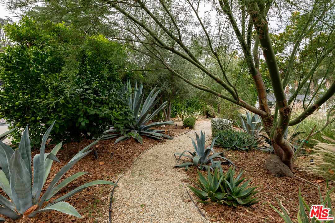 5401 Ostrom Avenue Encino, CA 91316 - Photo 57 of 73 a view of backyard with plants and outdoor seating