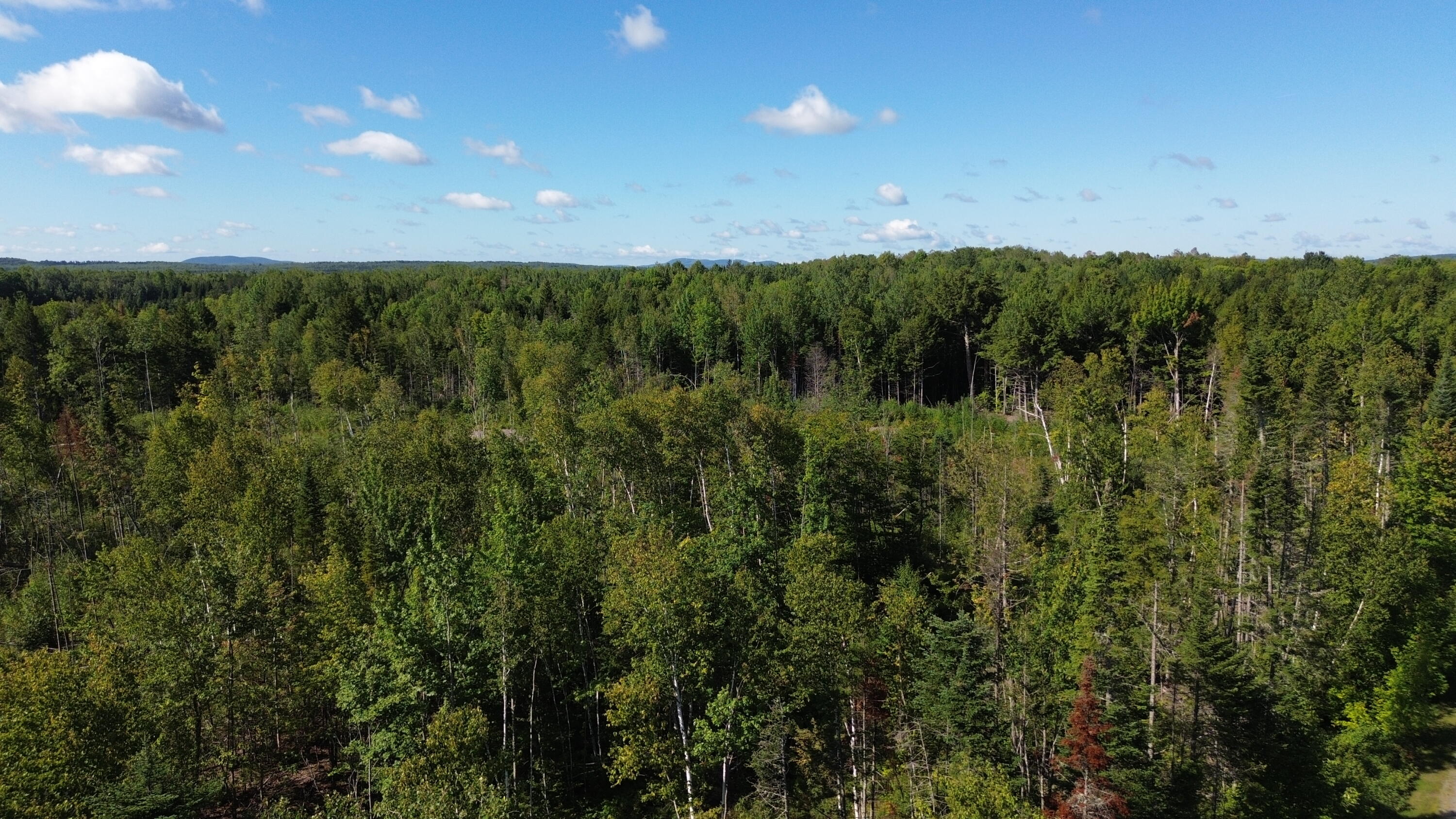 1-31c B Road Houlton, ME 04730 - Photo 12 of 17 DJI_0941