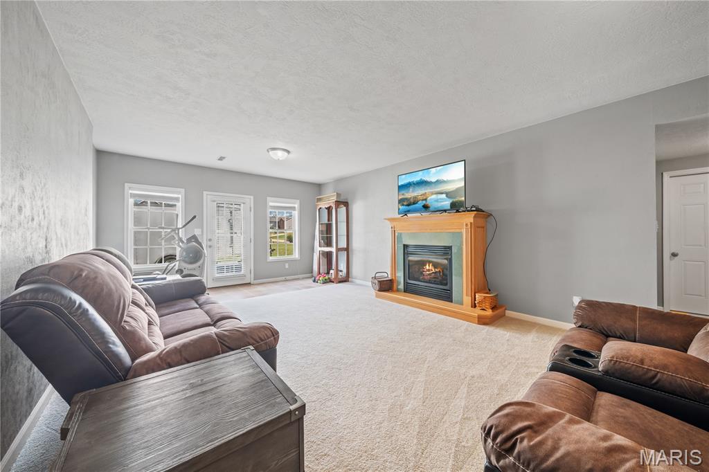 240 Cedar Spring Drive Jackson, MO 63755 - Photo 26 of 42