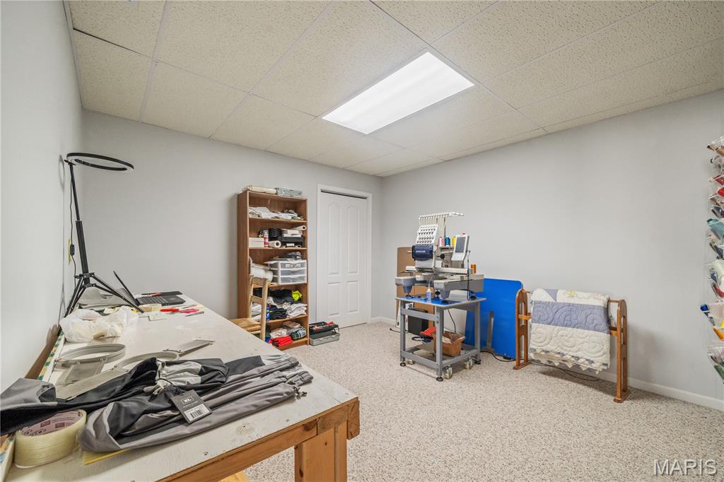 240 Cedar Spring Drive Jackson, MO 63755 - Photo 28 of 42