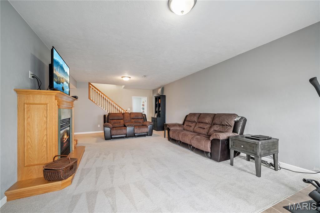 240 Cedar Spring Drive Jackson, MO 63755 - Photo 29 of 42