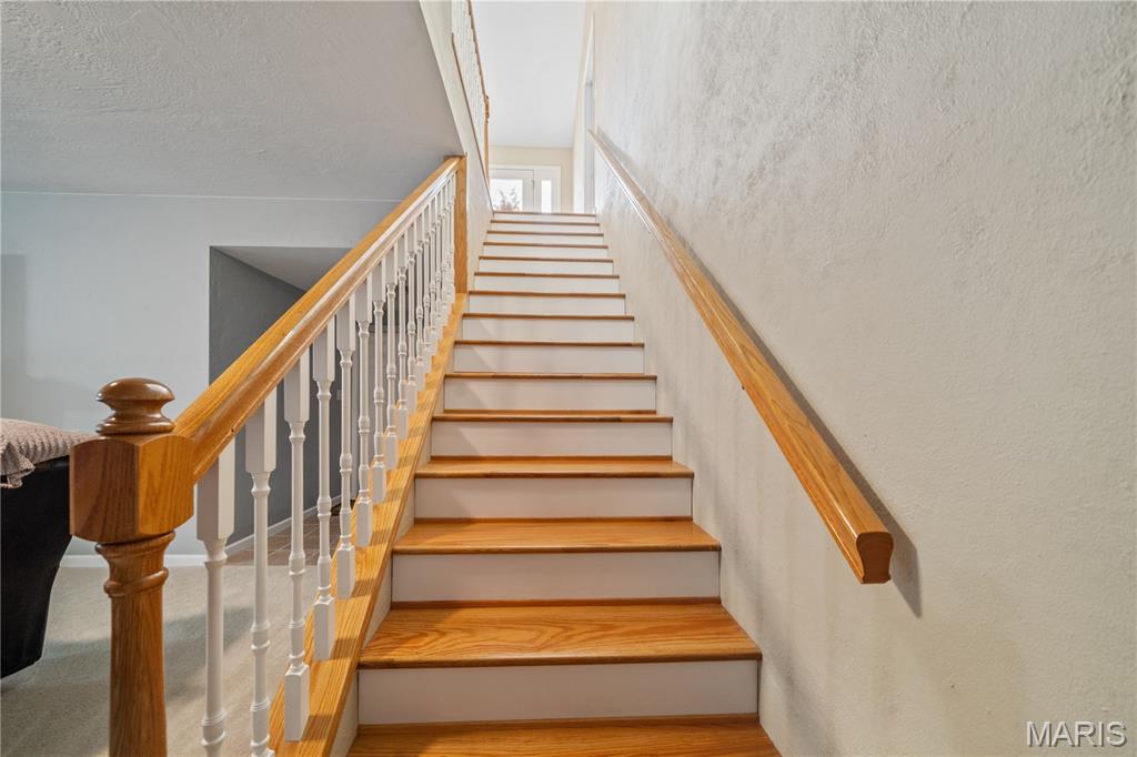 240 Cedar Spring Drive Jackson, MO 63755 - Photo 37 of 42