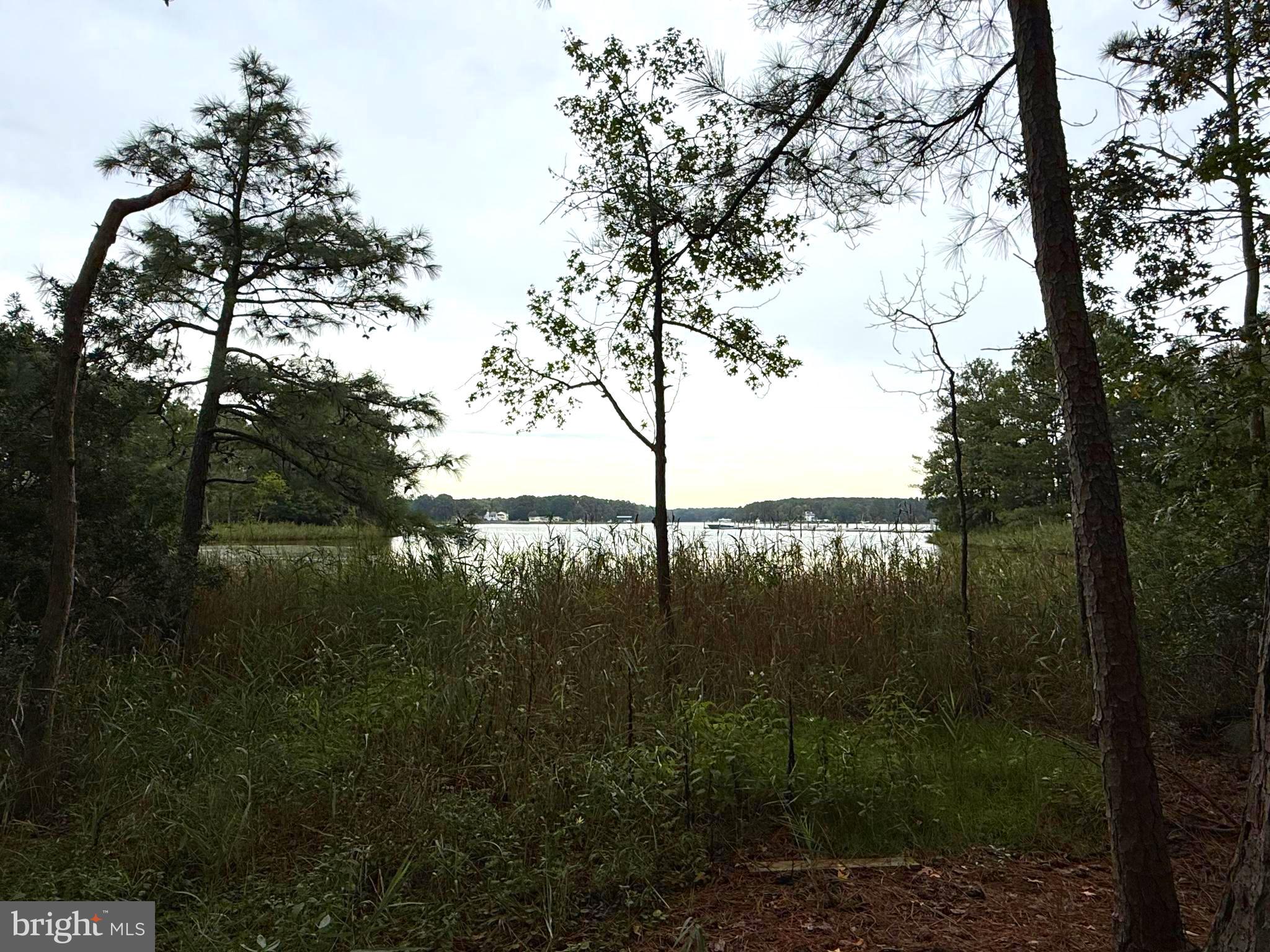 14680 Bar Harbor Court Issue, MD 20645 - Photo 2 of 15 View of Cuckold Creek from lot