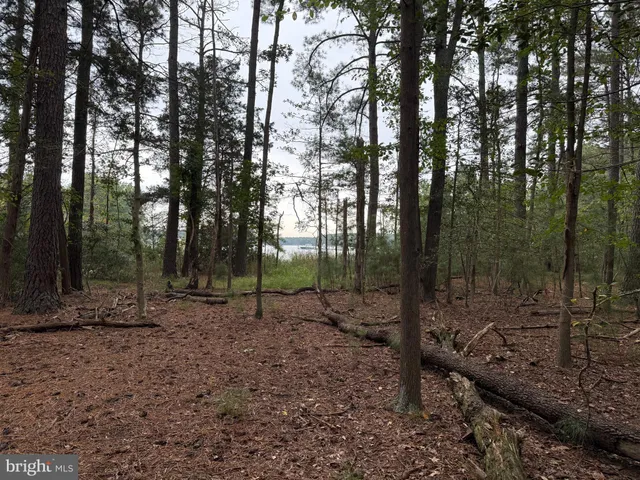 $72,000 | 14680 Bar Harbor Court, Issue, MD 20645