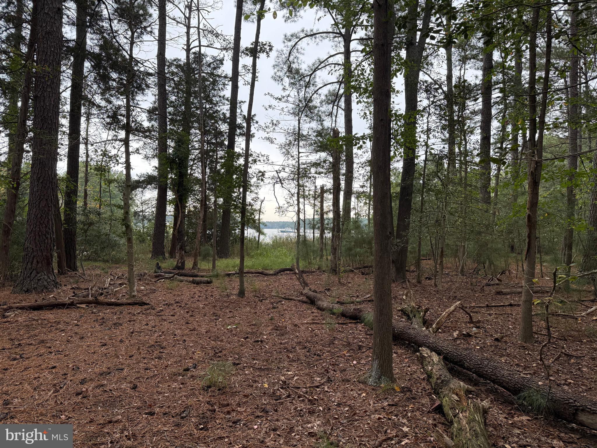 14680 Bar Harbor Court Issue, MD 20645 - Photo 3 of 15 14680 Bar Harbor