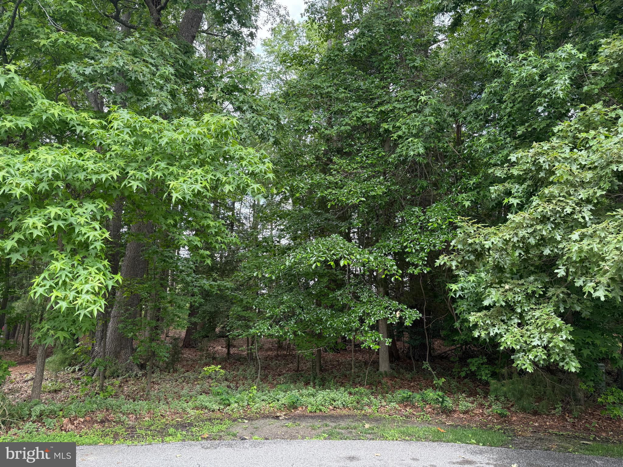 14680 Bar Harbor Court Issue, MD 20645 - Photo 4 of 15 14680 Bar Harbor