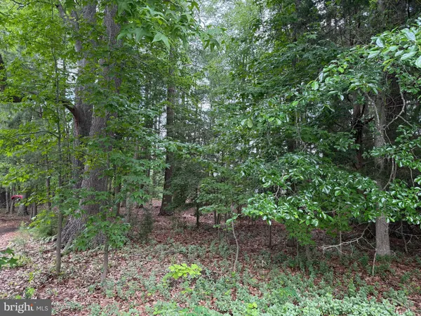 a backyard of a house with lots of trees