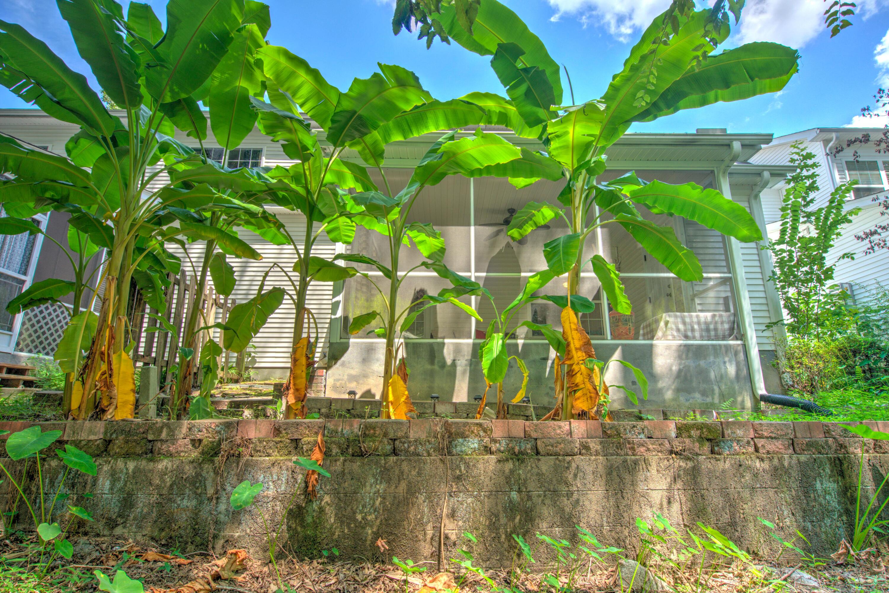 117 Steeple Point Court Summerville, SC 29485 - Photo 29 of 45 DSC08354_5_6Optimizer Custom Settings