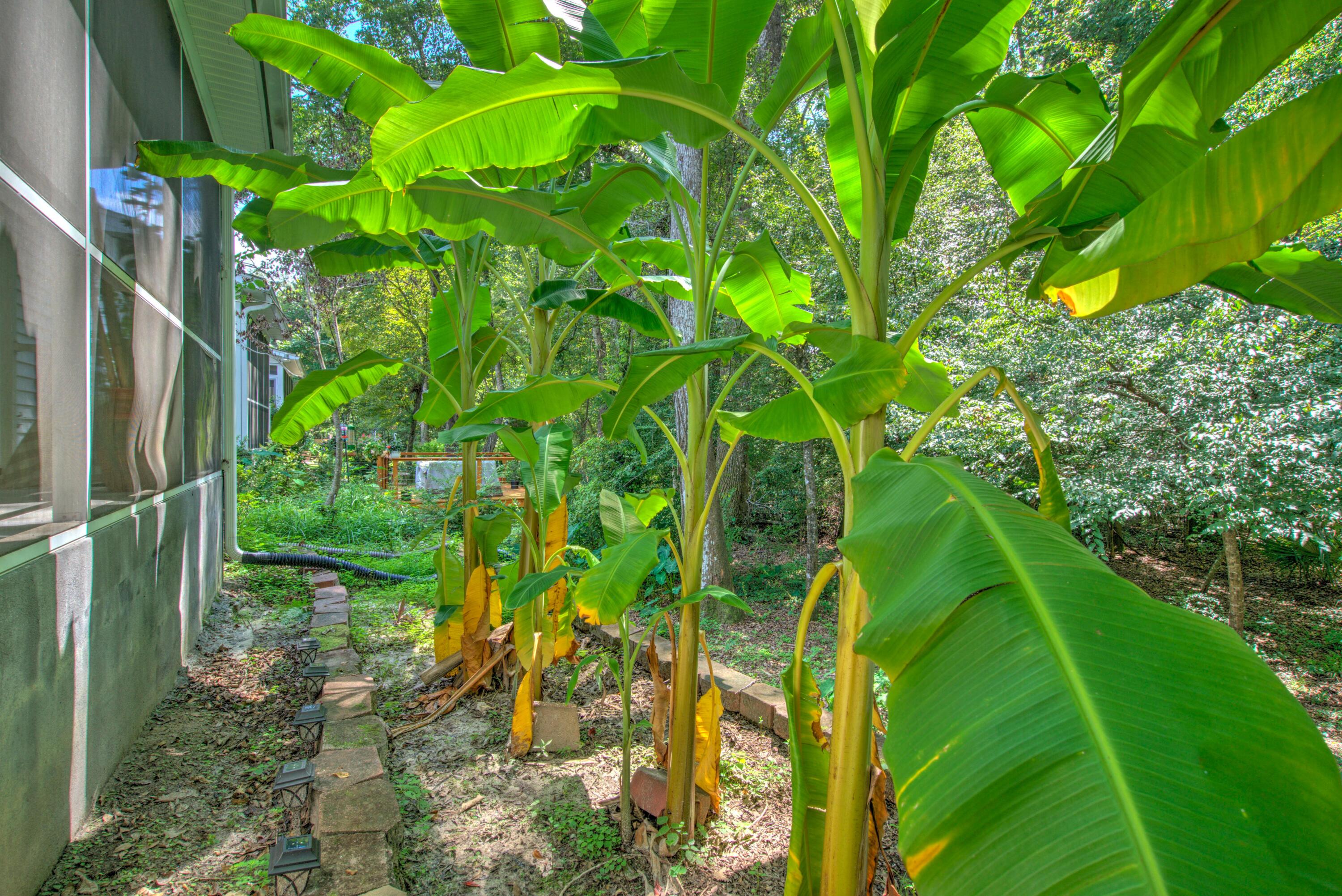 117 Steeple Point Court Summerville, SC 29485 - Photo 32 of 45 DSC08351_2_3Optimizer Custom Settings