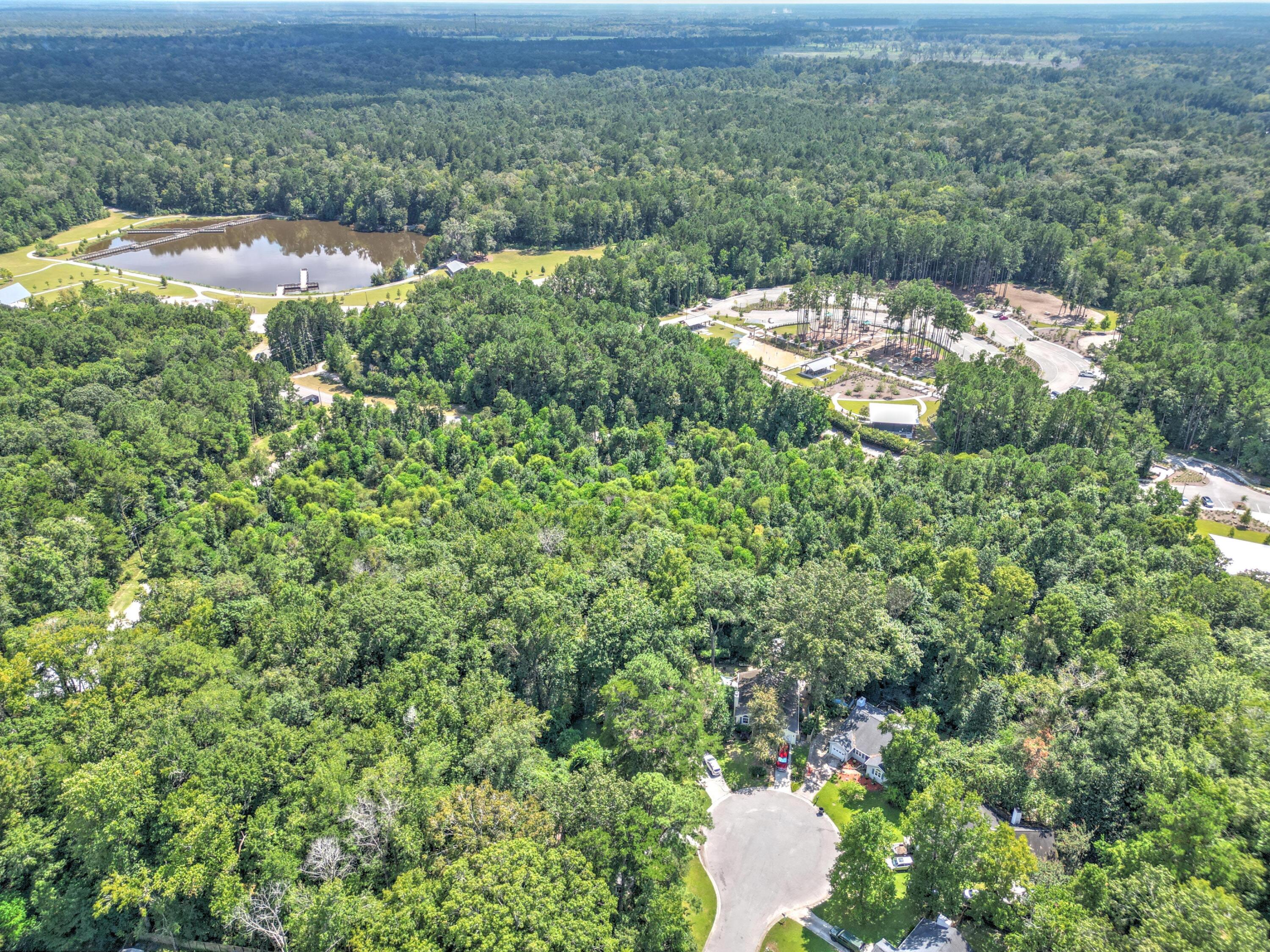 117 Steeple Point Court Summerville, SC 29485 - Photo 36 of 45 Ashley River Park