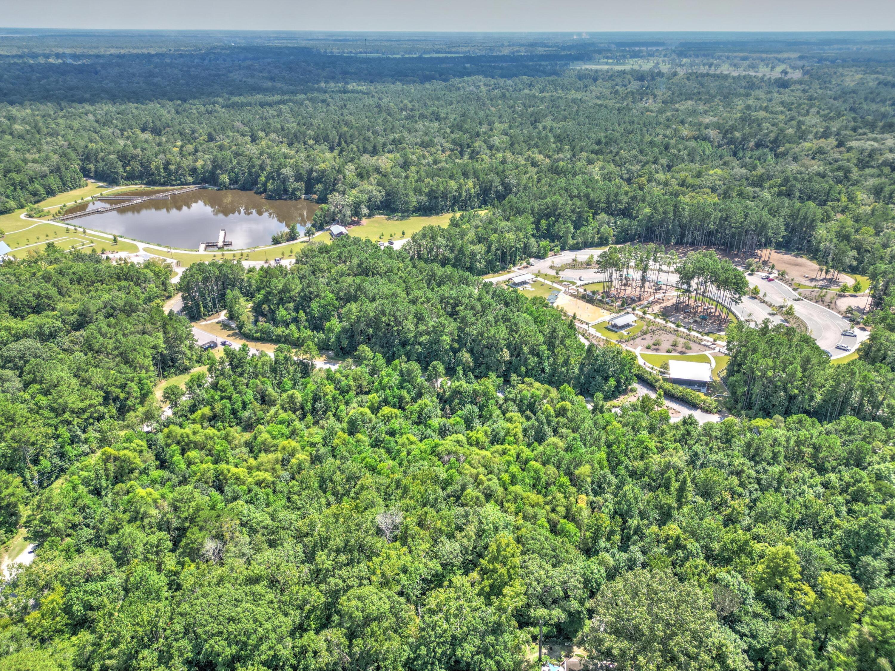 117 Steeple Point Court Summerville, SC 29485 - Photo 37 of 45 Ashley River Park