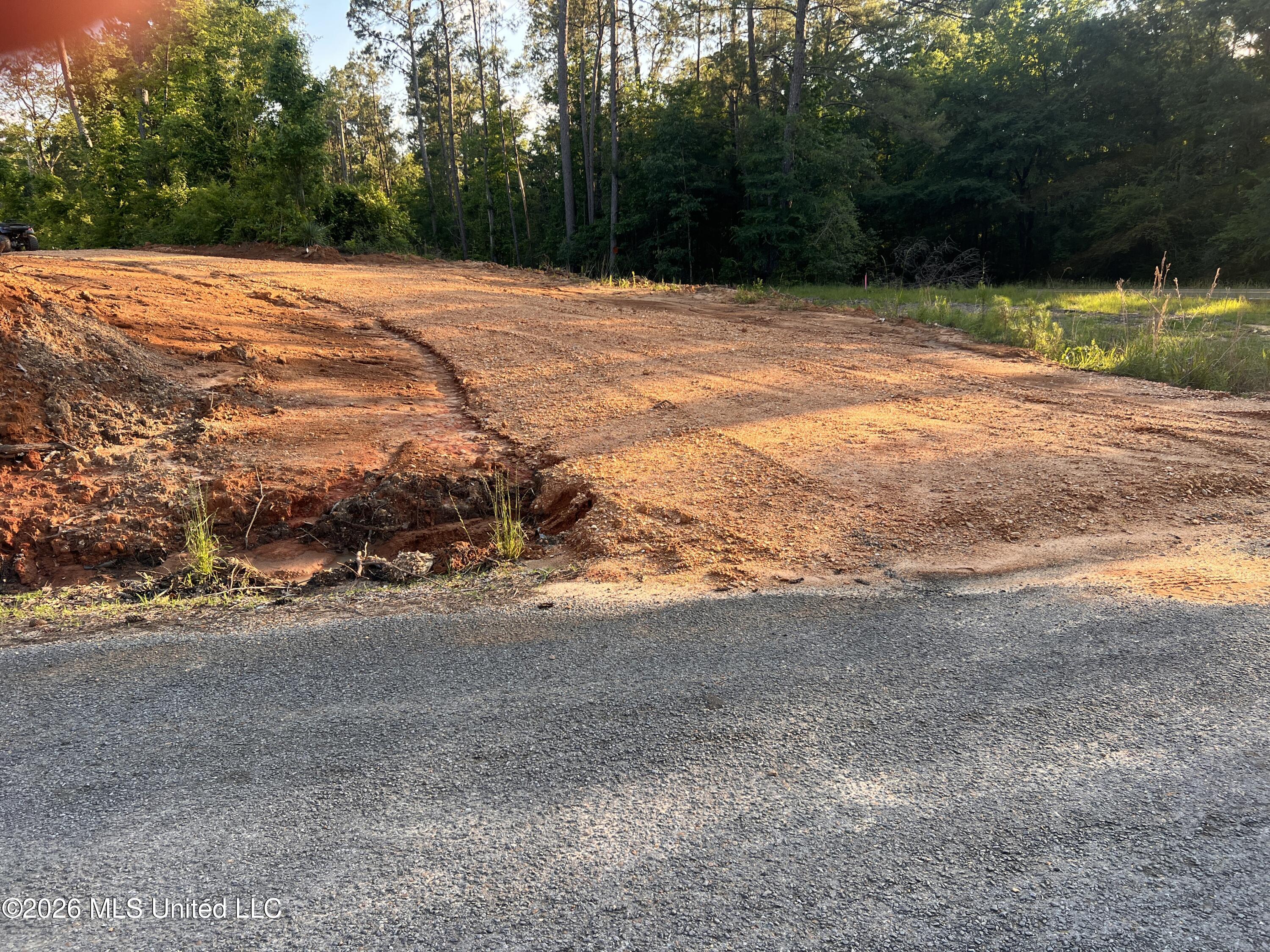 5734 Hebron Road Liberty, MS 39645 - Photo 3 of 32 3.