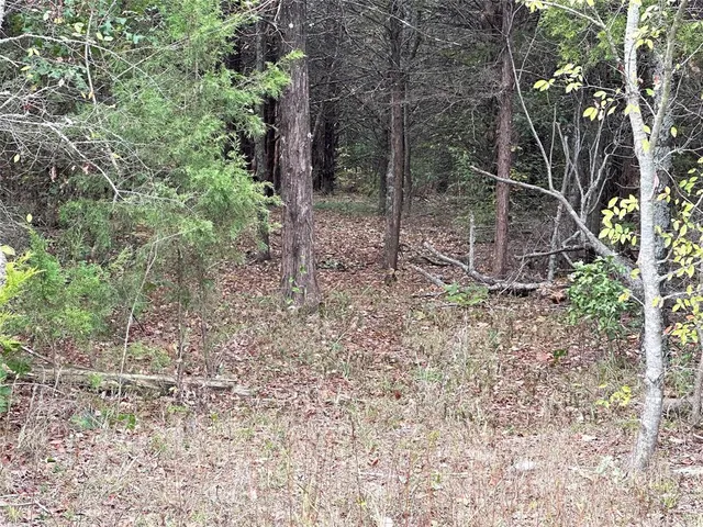 a view of a lake with a yard