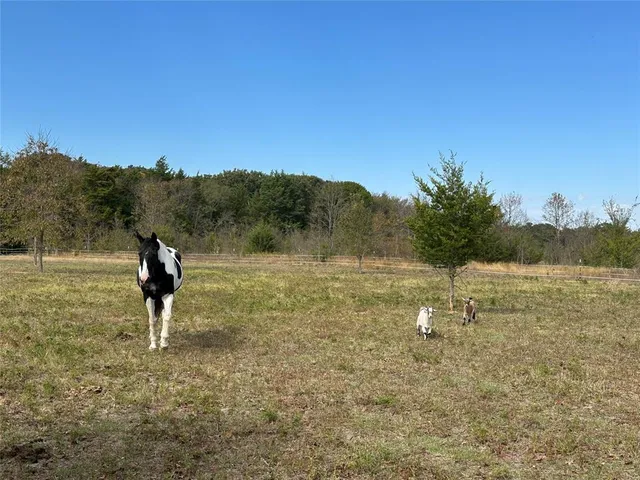 $275,000 | 2430 County Road 2265, Telephone, TX 75488