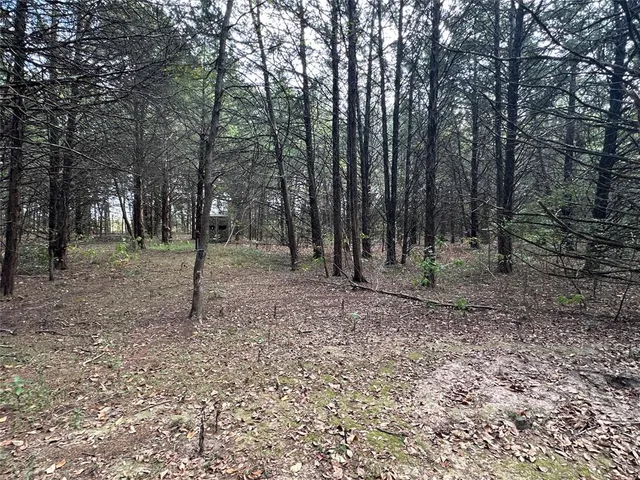 $275,000 | 2430 County Road 2265, Telephone, TX 75488