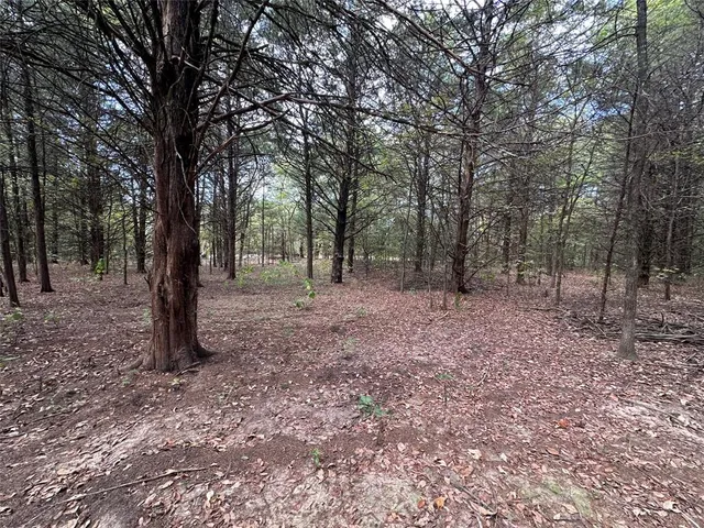 $275,000 | 2430 County Road 2265, Telephone, TX 75488