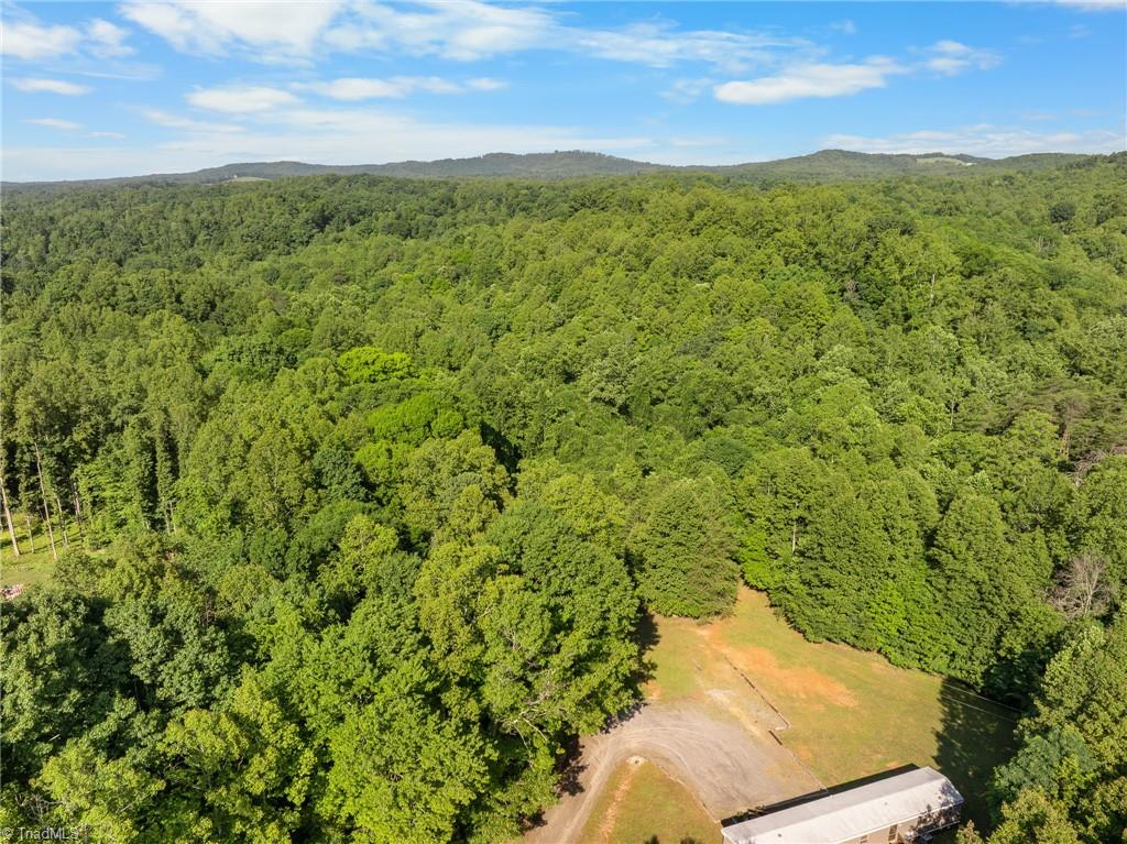 114 Echo Hollar Road Westfield, NC 27053 - Photo 17 of 17