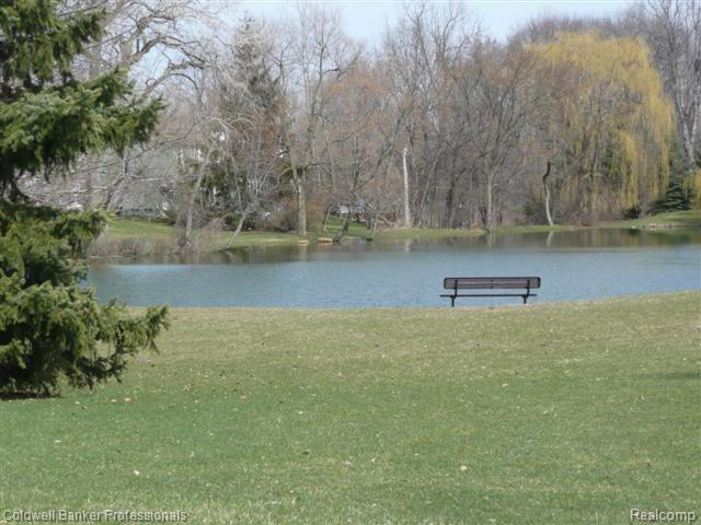 788 Bolinger Street Rochester, MI 48307 - Photo 18 of 19 pond