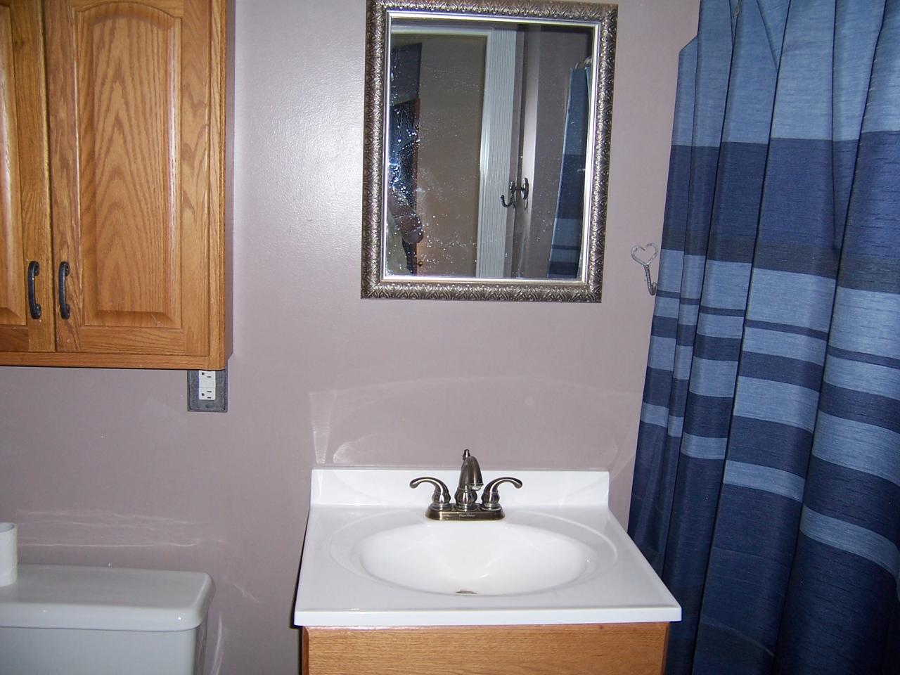 5523 Bore Auger Road Blue Ridge, VA 24064 - Photo 8 of 20 a bathroom with a sink and a mirror