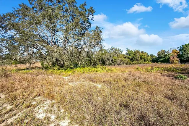a view of yard with green space
