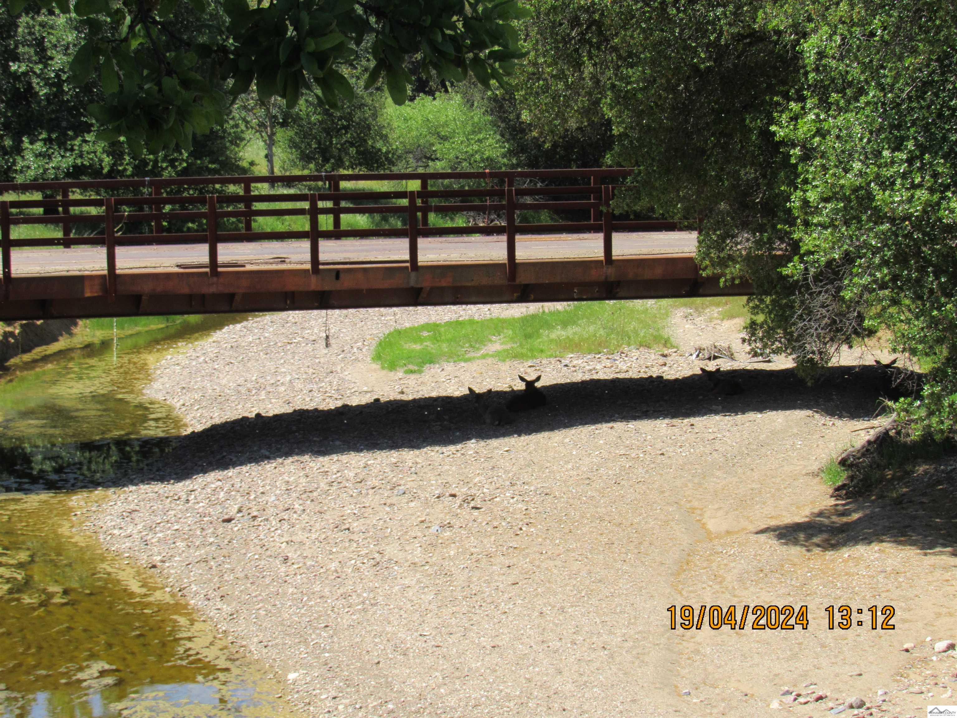 19110 Pine Creek Road Red Bluff, CA 96080 - Photo 54 of 75 Gallery Image 54