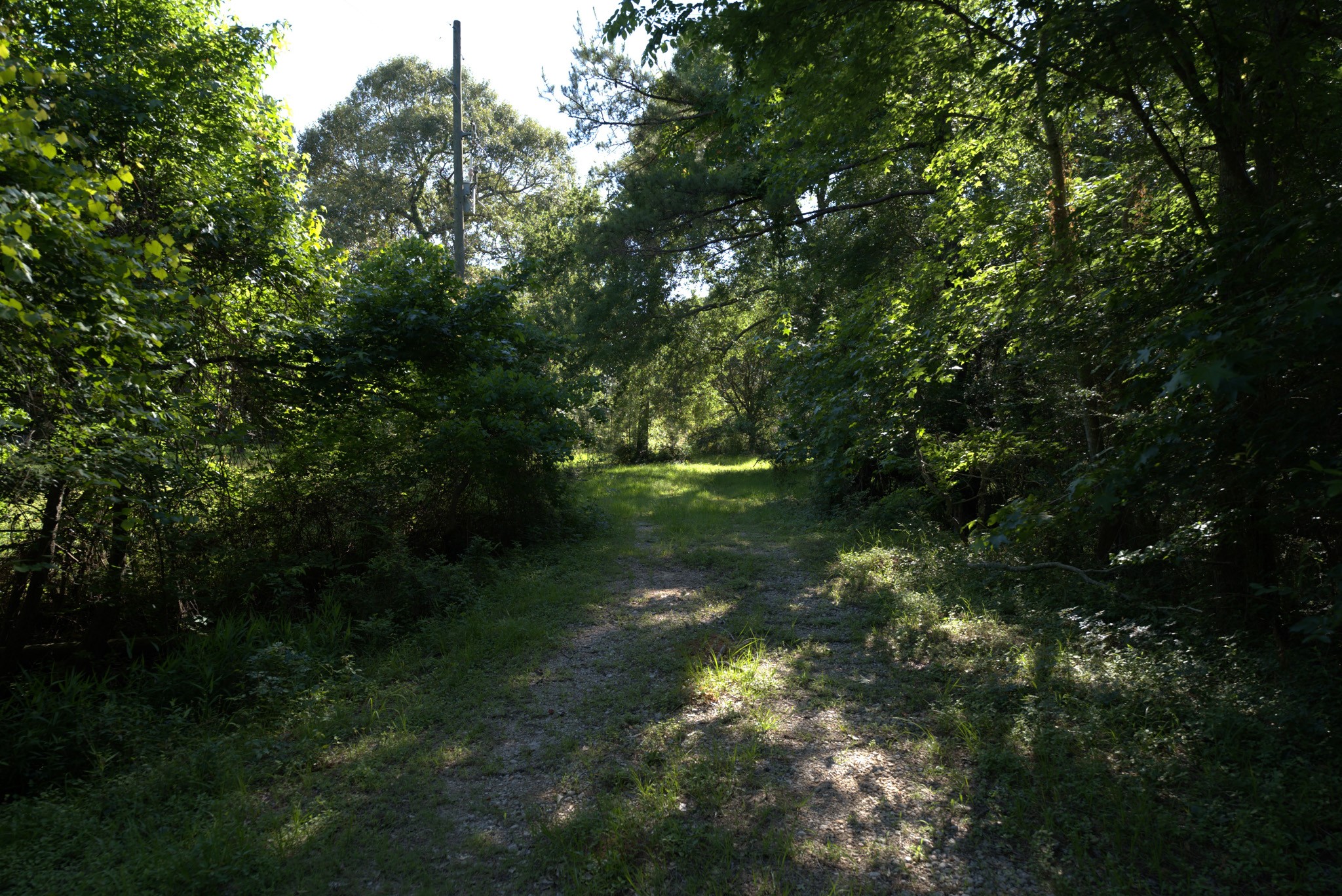 3309 Honea Egypt Road Montgomery, TX 77316 - Photo 20 of 40