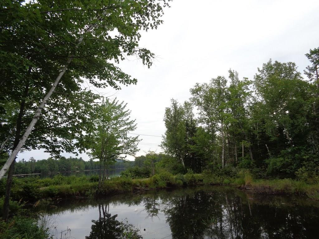 2 Troutdale Road West Forks, ME 04985 - Photo 32 of 34 Pond on Property