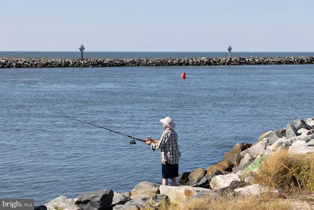a view of a lake and a mountain