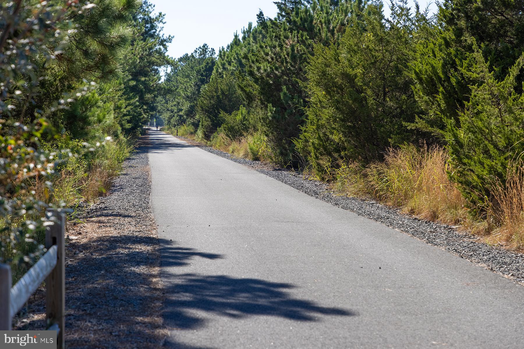 149 Jacks Way, Unit 18 Lewes, DE 19958 - Photo 17 of 26 a view of a yard with plants and trees