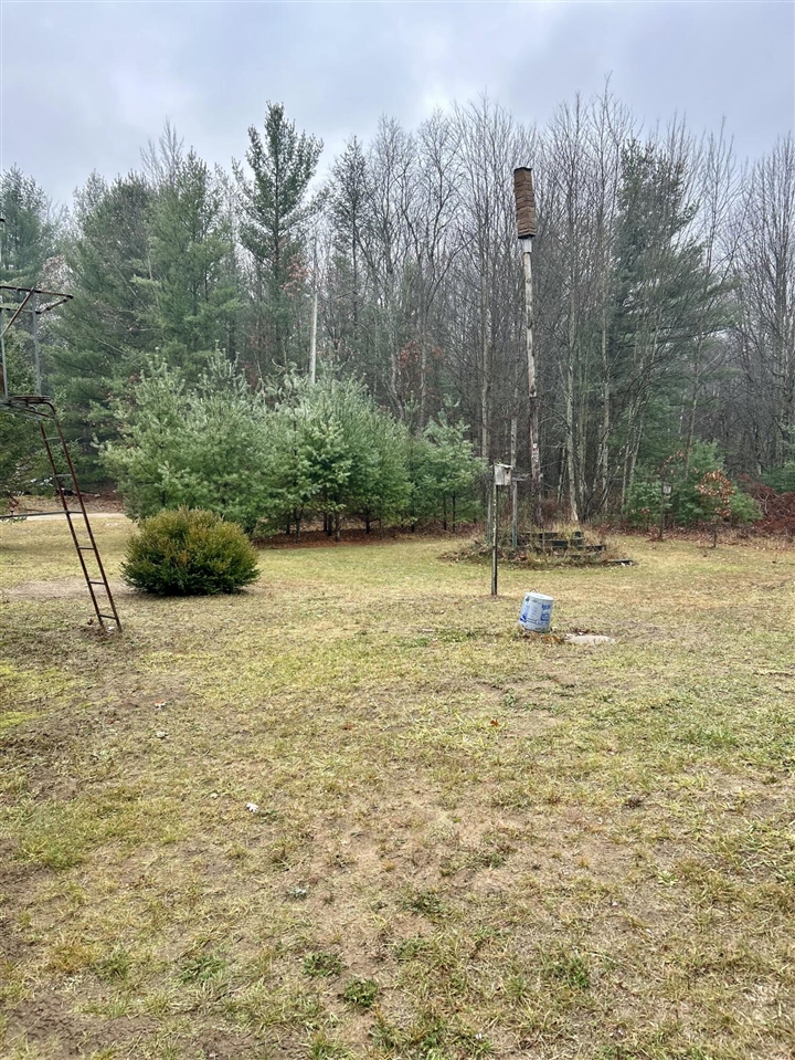 2471 West 12 Mile Road Bitely, MI 49309 - Photo 35 of 39