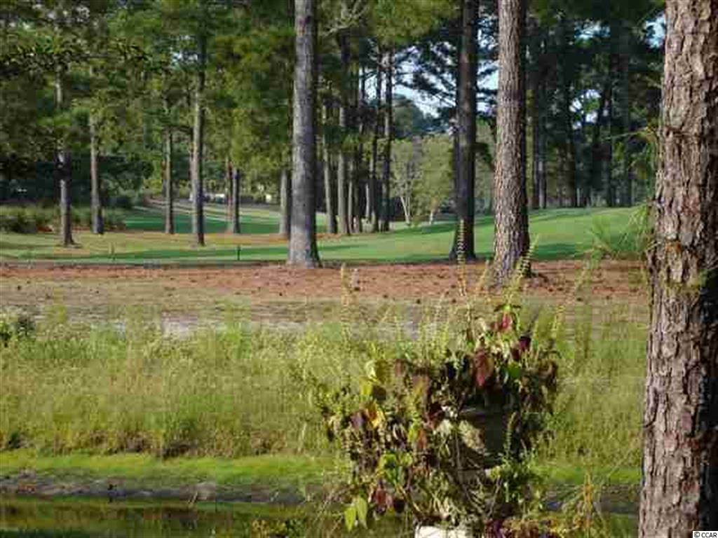 726 Helms Way Conway, SC 29526 - Photo 4 of 25 Gallery Image 4