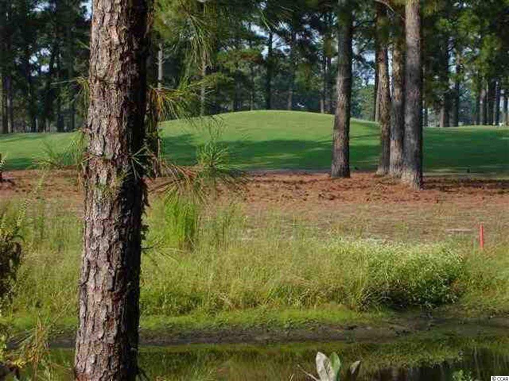 726 Helms Way Conway, SC 29526 - Photo 5 of 25 Gallery Image 5