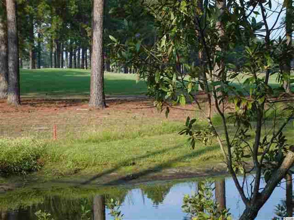 726 Helms Way Conway, SC 29526 - Photo 6 of 25 Gallery Image 6