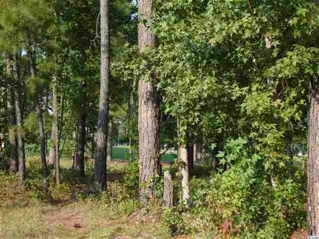 726 Helms Way Conway, SC 29526 - Photo 7 of 25 Gallery Image 7