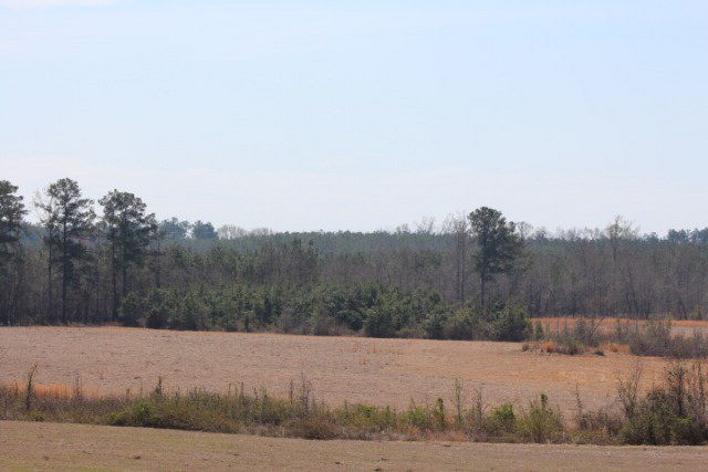 A Clark-Reese Road Thomson, GA 30824 - Photo 1 of 1 Main View