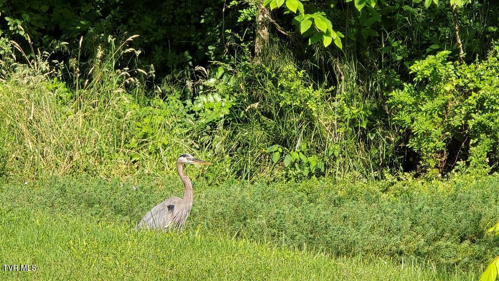 1229 Cooks Valley Road Kingsport, TN 37664 - Photo 24 of 54 99940_46