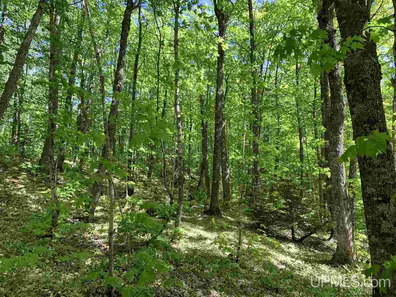 Tbd West Branch Huron River Road Skanee, MI 49946 - Photo 25 of 28