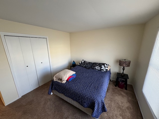 428 West Briarcliff Road Bolingbrook, IL 60440 - Photo 11 of 18 Gallery Image 11