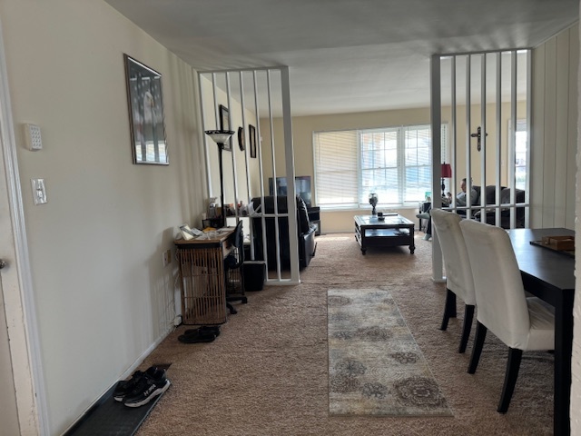 428 West Briarcliff Road Bolingbrook, IL 60440 - Photo 8 of 18 Gallery Image 8