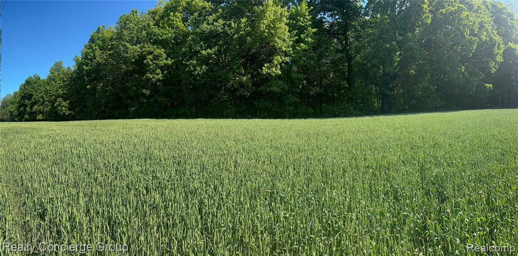 2681 Fisk Road Howell, MI 48843 - Photo 18 of 19