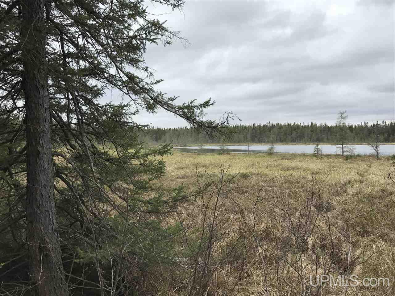 40-ac Kelso Road Crystal Falls, MI 49920 - Photo 4 of 21