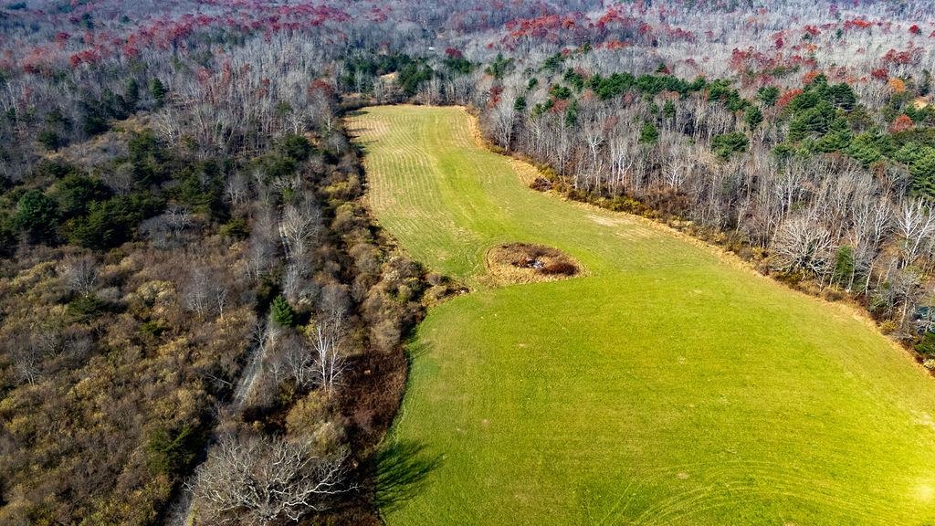 Tbd Jackson River Road Monterey, VA 24465 - Photo 14 of 22