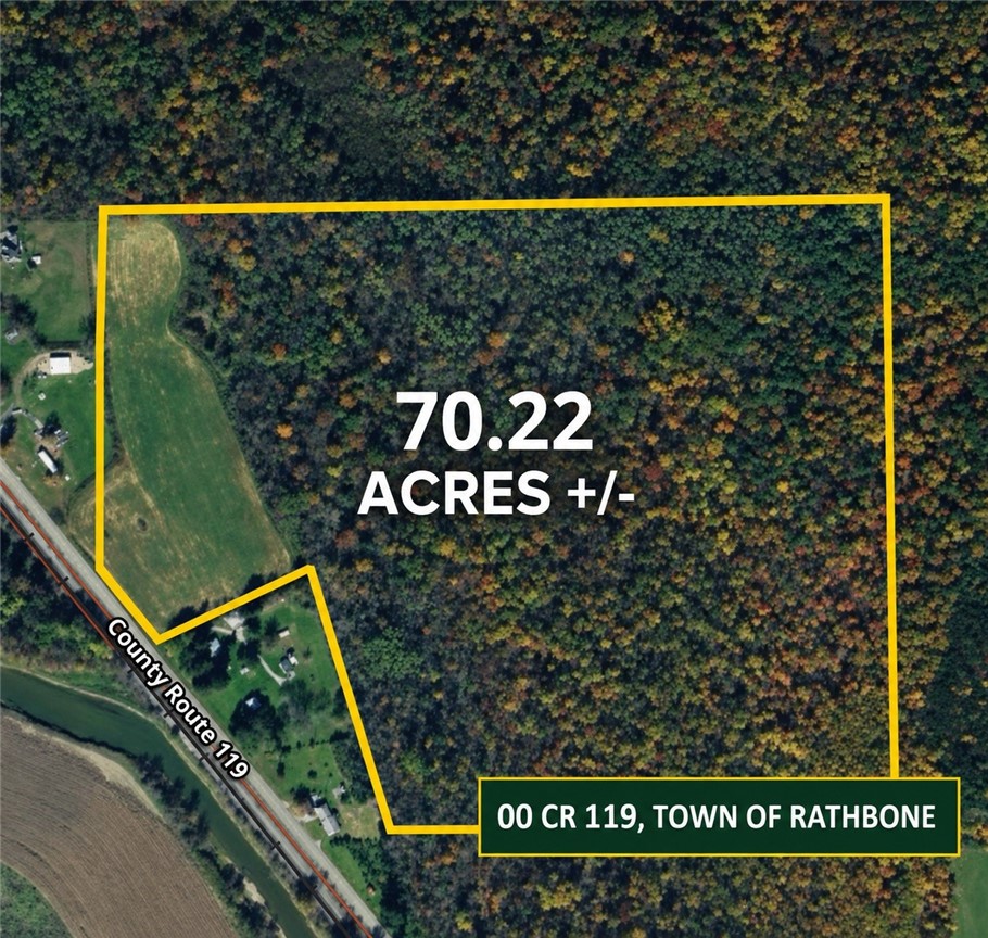 0 County Route 119 Addison, NY 14801 - Photo 1 of 2
